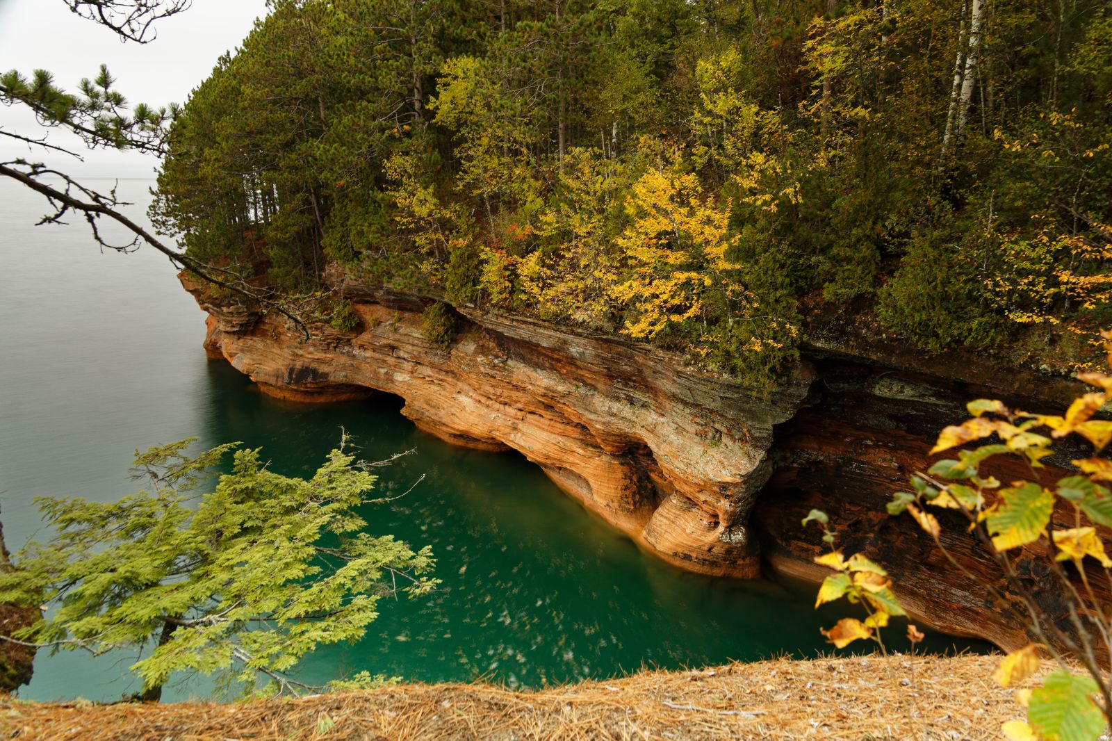 Apostle Islands Foliage