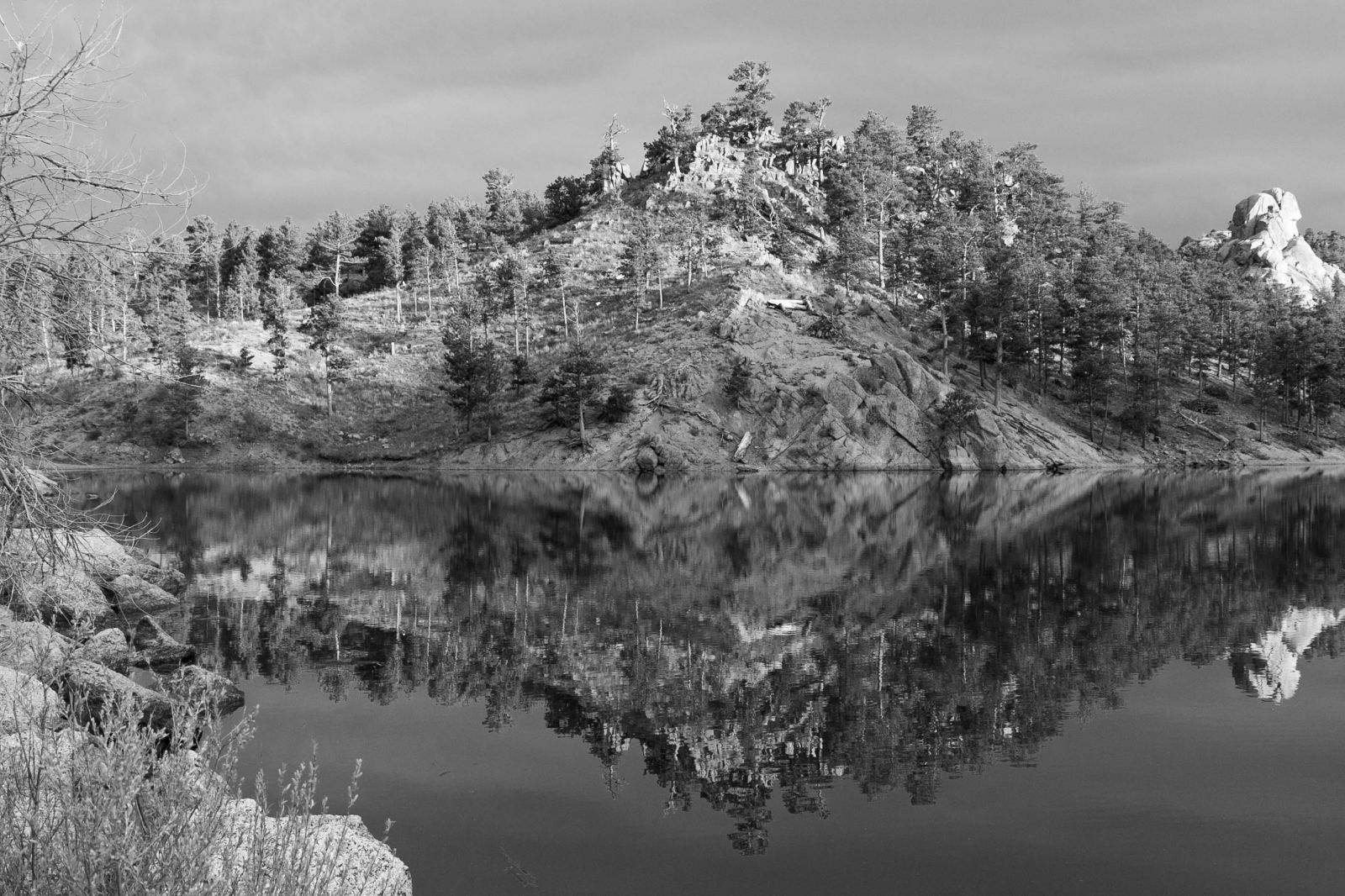 Mirror Image