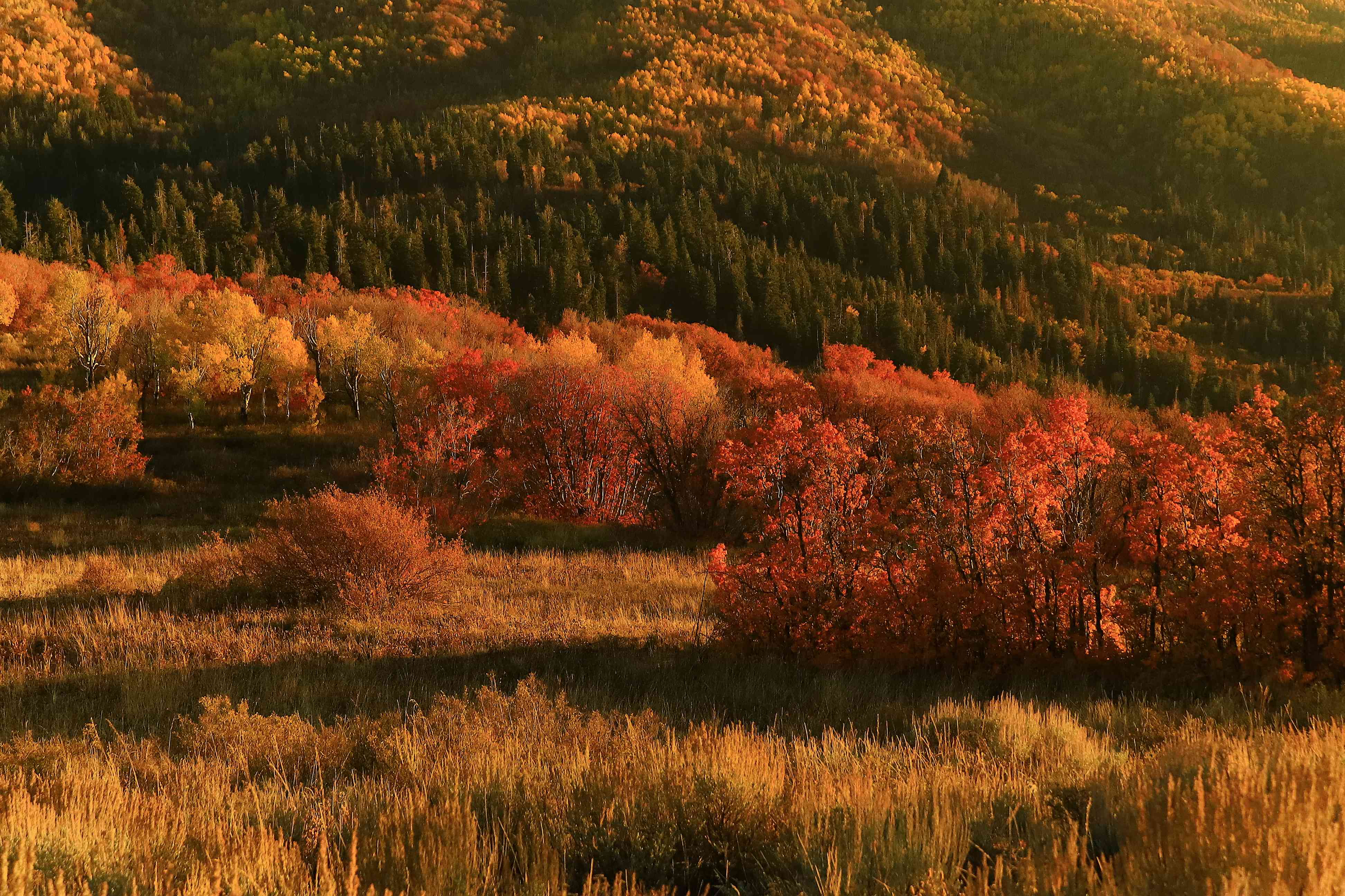 Fine art photography gallery